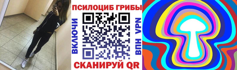 Галлюциногенные грибы Psilocybe  Полярный 